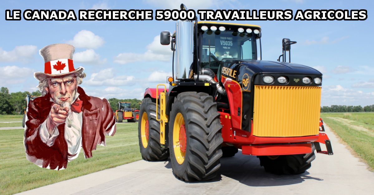 Le Canada recherche 59000 travailleurs agricoles.