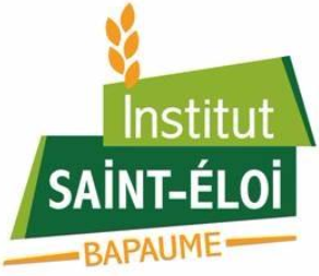 logo de Institut Saint-Eloi