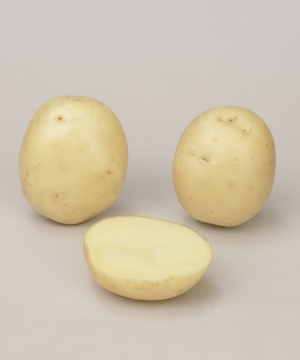 Photo du Pommes de terre de consommation Rumba