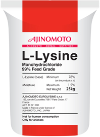 Photo du Digestion L-Lysine