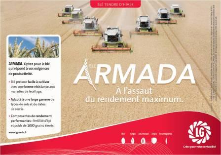 Photo du variétés blé d'hiver Armada
