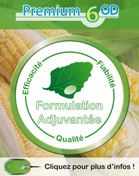 Photo du Herbicides maïs Pampa Premium 6OD