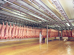 Photo du Abattoirs Abattage et découpe de porcs