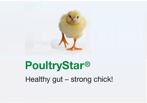 Photo du additifs alimentaires PoultryStar
