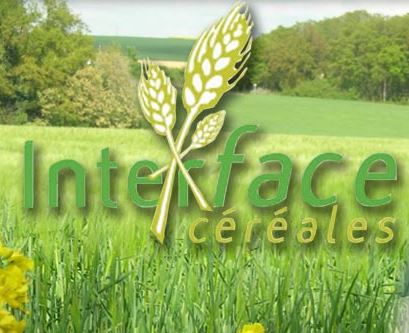 Photo du Coopératives de commercialisation des céréales Coopérative agricole implantée sur l’Eure-et-Loir et l’Eure