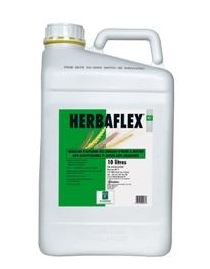 Photo du Herbicides céréales Herbaflex