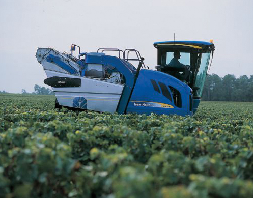 Photo du Tracteurs agricoles VM3090 Plus