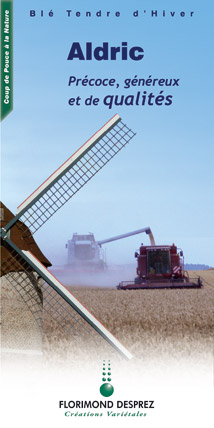 Photo du variétés blé d'hiver Euclide