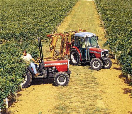 Photo du Tracteurs agricoles MF 374 V