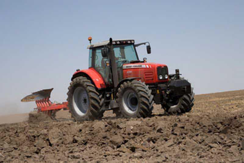 Photo du Tracteurs agricoles MF 6495