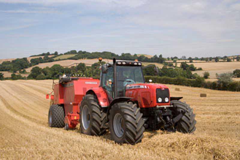 Photo du Tracteurs agricoles MF 6499