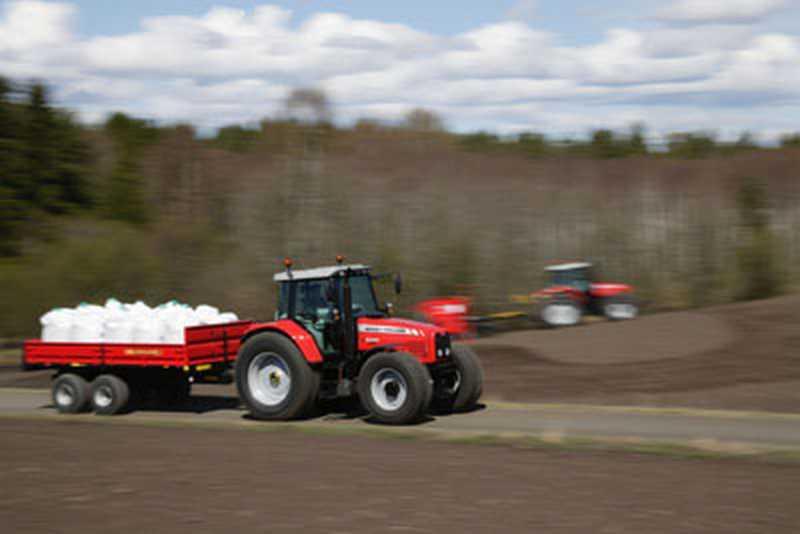 Photo du Tracteurs agricoles MF 6475
