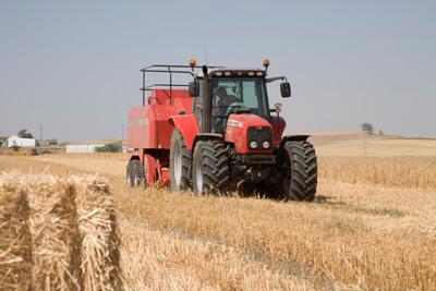 Photo du Tracteurs agricoles MF 7465