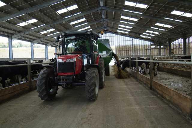 Photo du Tracteurs agricoles MF 3625