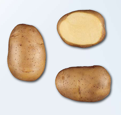 Photo du Pommes de terre de consommation Lady Claire