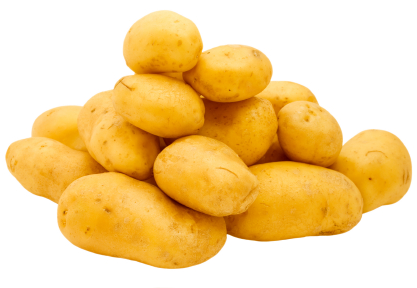 Photo du Commercialisation des pommes de terre Commercialisation de toutes variétés de pommes de terre