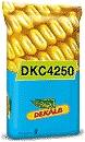 Photo du Variétés de maïs grain DKC4250