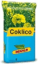 Photo du variétés de colza d'hiver Coklico