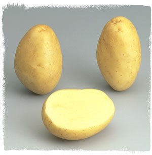 Photo du Pommes de terre de consommation Monalisa