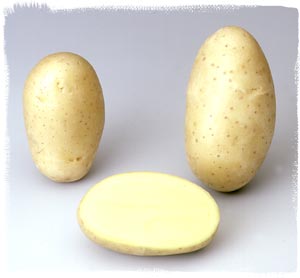Photo du Pommes de terre de consommation Dali