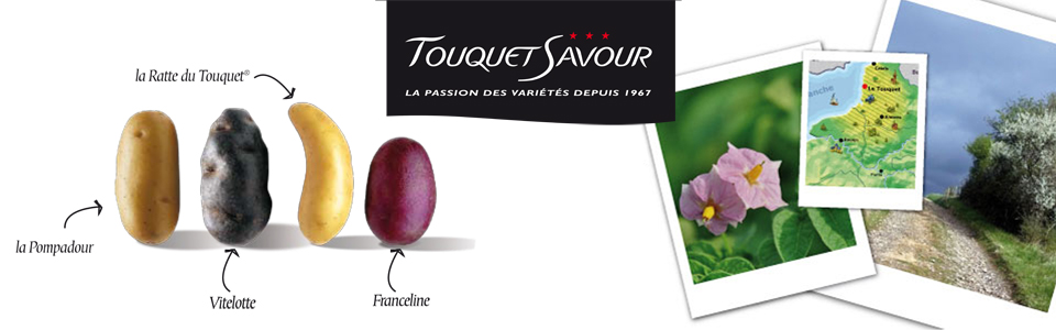 Photo du Commercialisation des pommes de terre Commercialisation des variétés Vitelotte, Ratte, Pompadour et Franceline