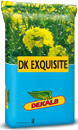 Photo du variétés de colza d'hiver DK Exquisite