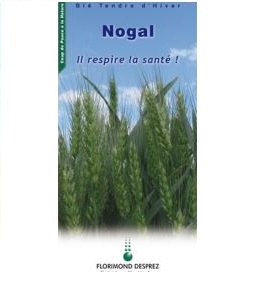 Photo du variétés blé d'hiver Nogal