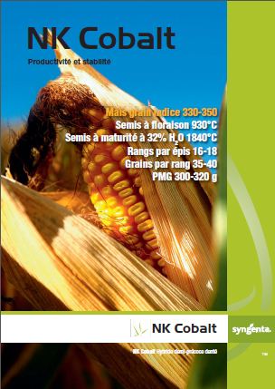 Photo du Variétés de maïs grain NK Cobalt