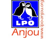 Photo du Associations civiles LPO Anjou