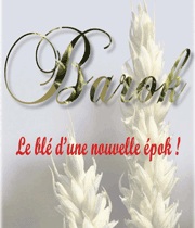 Photo du variétés blé d'hiver Barok