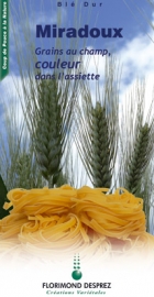 Photo du variétés blé d'hiver Miradoux