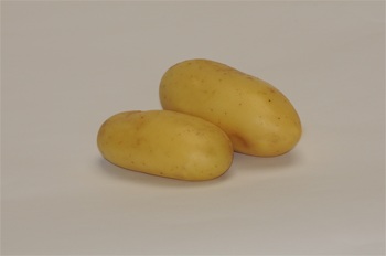 Photo du Pommes de terre de consommation Gourmandine