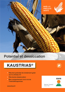 Photo du Variétés de maïs grain Kaustrias