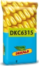 Photo du Variétés de maïs grain DKC6315