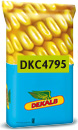Photo du Variétés de maïs grain DKC 4795