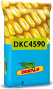 Photo du Variétés de maïs grain DKC 4590