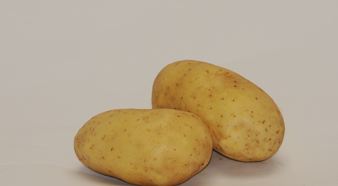 Photo du Pommes de terre de consommation Markies