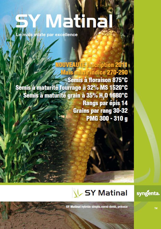 Photo du Variétés de maïs mixte SY Matinal