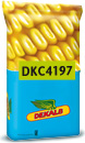 Photo du Variétés de maïs mixte DKC 4197