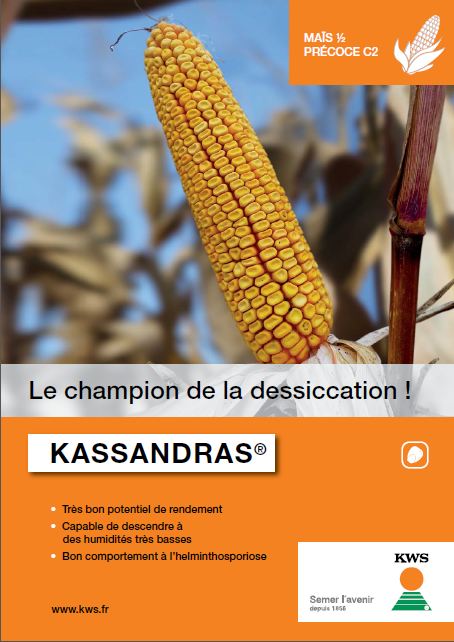 Photo du Variétés de maïs grain Kassandras