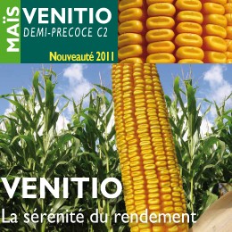 Photo du Variétés de maïs mixte Venitio